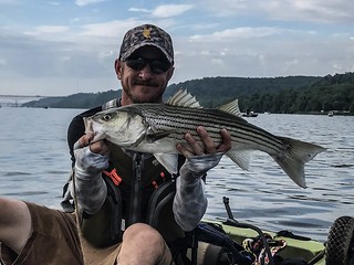 Photo of man holding striped bass in kayak