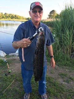 Man holding up snakehead