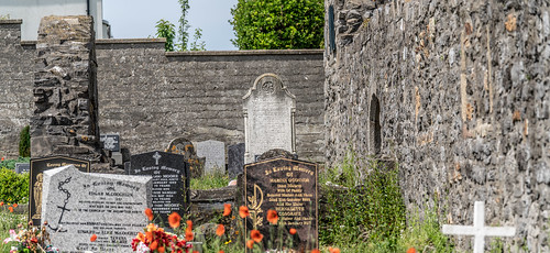  HOWTH OLD ABBEY 012 
