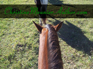 ChristineMeunierAuthor.com - the Online Home of Educational and Entertaining Horse Books
