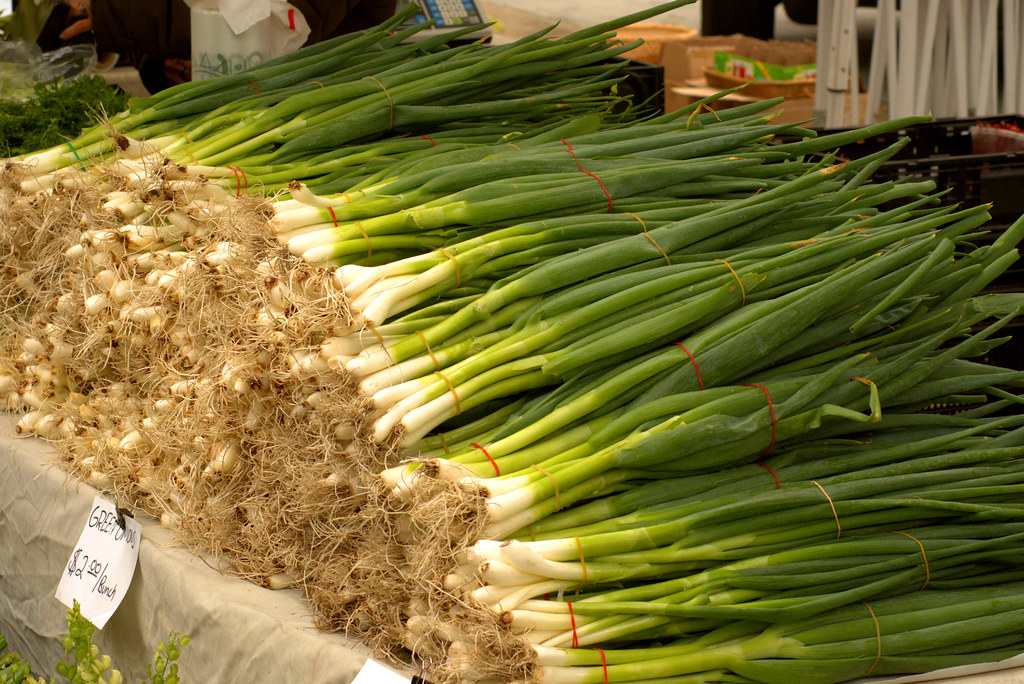 Green Onion Bunches - Dane County Farmers Market Saturday on the Square, Madison, Wisconsin, June 2, 2018. Photo shared as public domain at Pixabay and Flickr. 