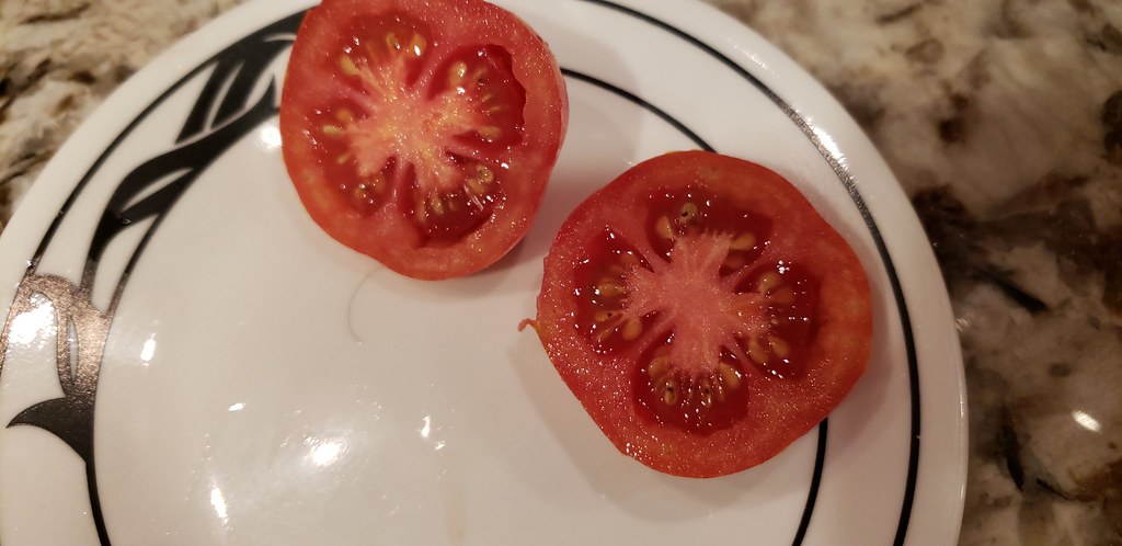 Tomato striations? 28511352677_d116dd8de1_b