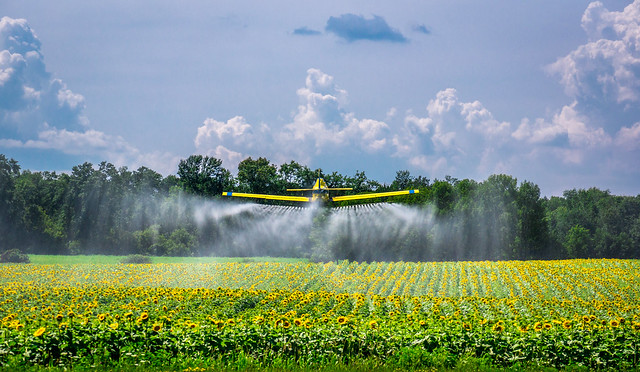 Crop Duster, Aircraft, Farm Field, Spray, Plane, Airplane, Flying