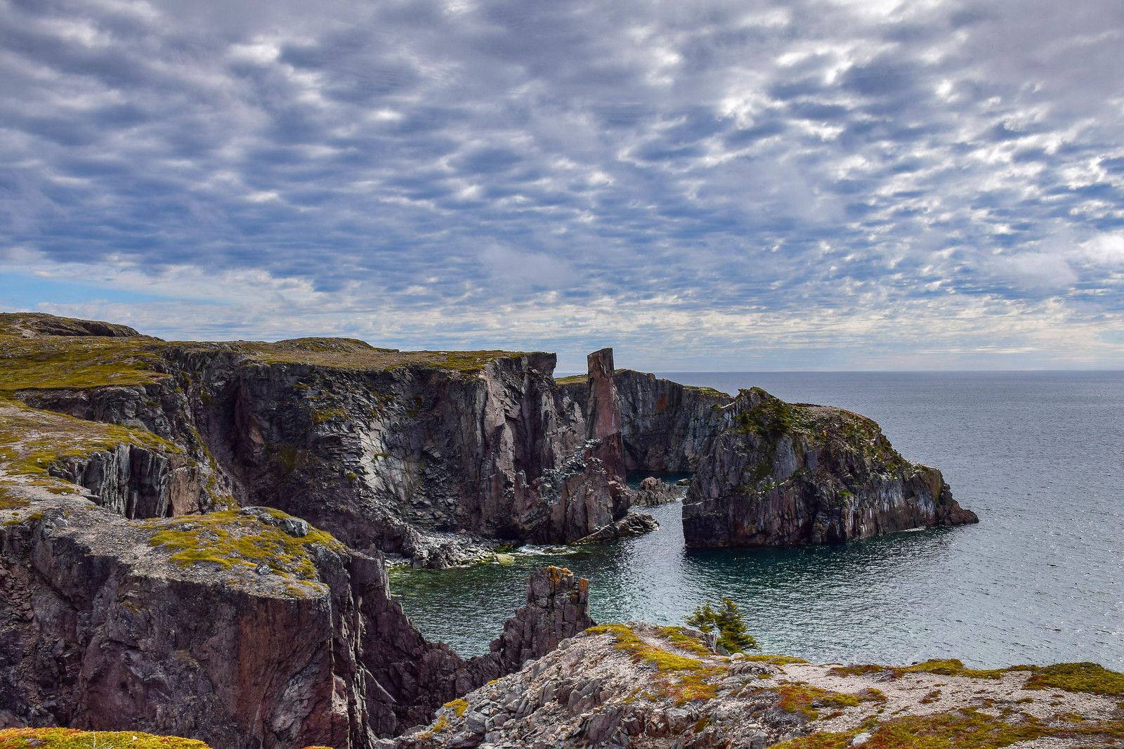 Seastacks and rugged coastline near Bonavista where you can see Newfoundland puffins