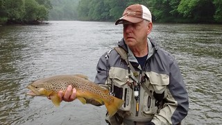 Photo of man holding brown trout in a stream