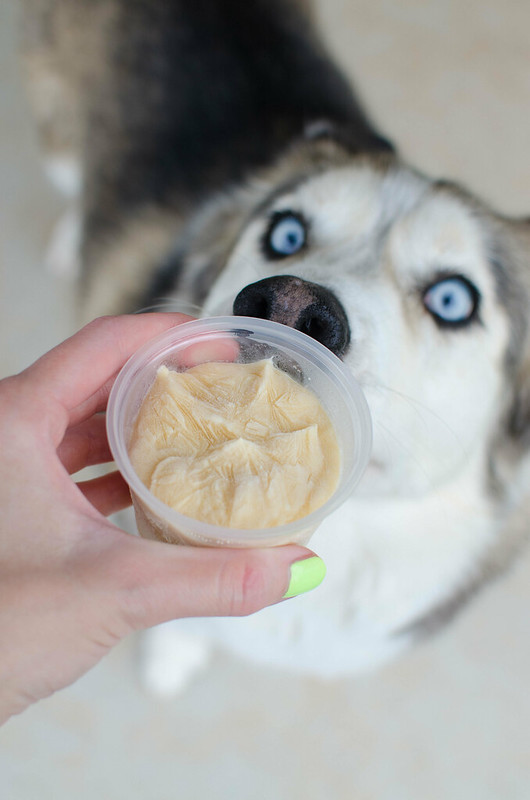 How to make dog ice deals cream