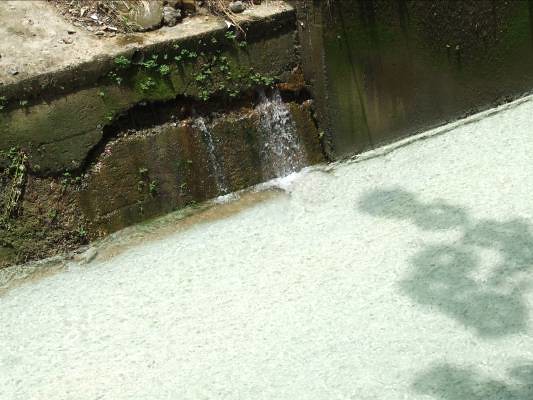 石頭公水渠強降雨後湧泉水量增加，硫化物亦隨之大量出現