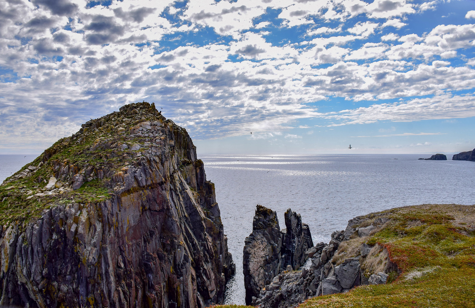A rugged island with a puffin colony in Newfoundland