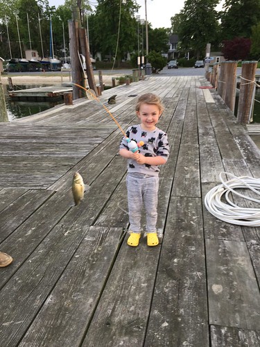 Photo of Little girl with white perch 