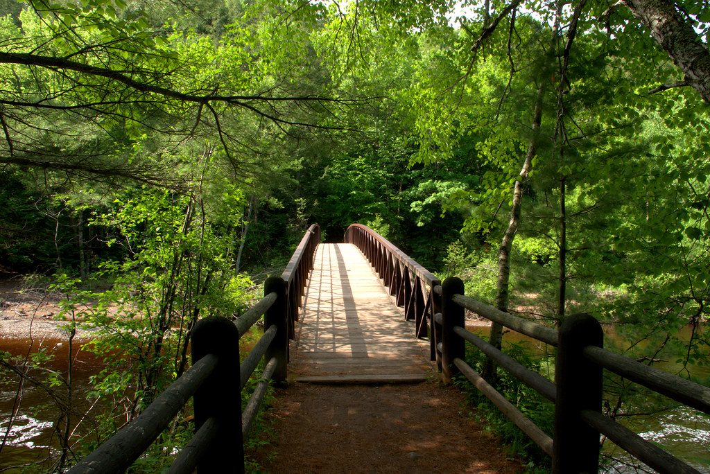 Bridge over Bad River on Doughboy Trail, Copper Falls State Park, Wisconsin, June 8, 2018. Photo shared as public domain on Pixabay and Flickr as “Bad River Foot Bridge.”