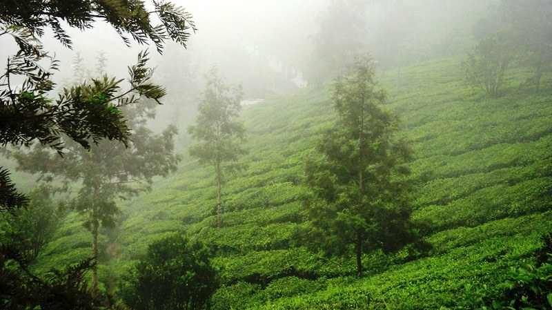 best places to visit in India during monsoon
