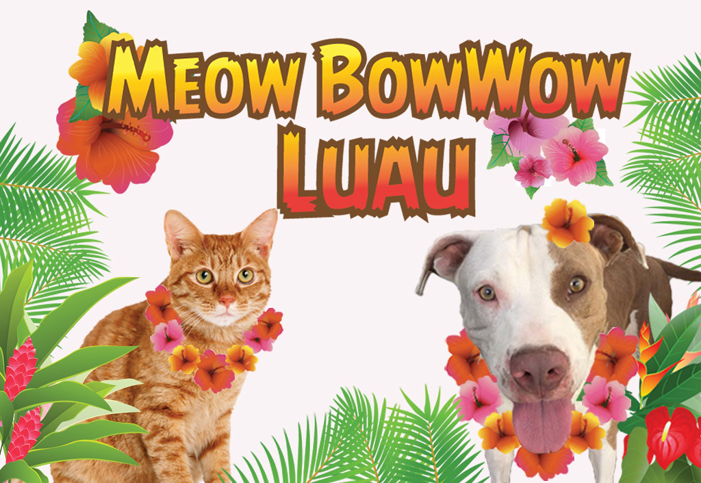 Animal Services "Meow BowWow Luau!" Pet Adoption Event
