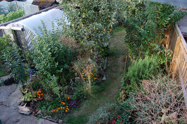 View of the garden from an upstairs window