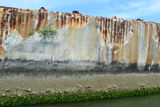 Detailed image of Kiptopeke's breakwater illustrates how time and the elements have eroded the concrete hulls of the nine McCloskey ships.  Kiptopeke State Park on Virginia's Eastern Shore.