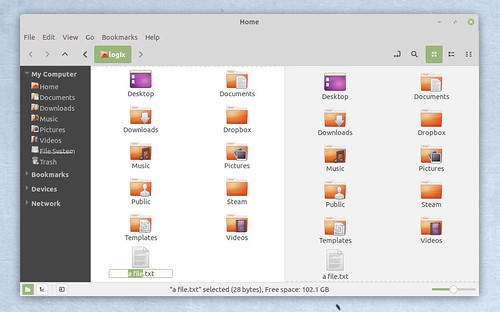 nemo-mint-y-theme-ubuntu-dual-panel
