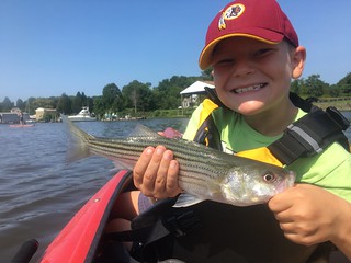 Photo of Boy holding striped bass in a kayak