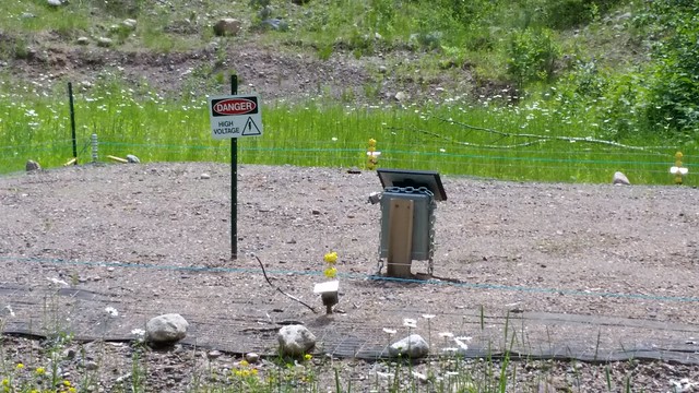 A turtle nesting platform on the Chequamegon-Nicolet National Forest