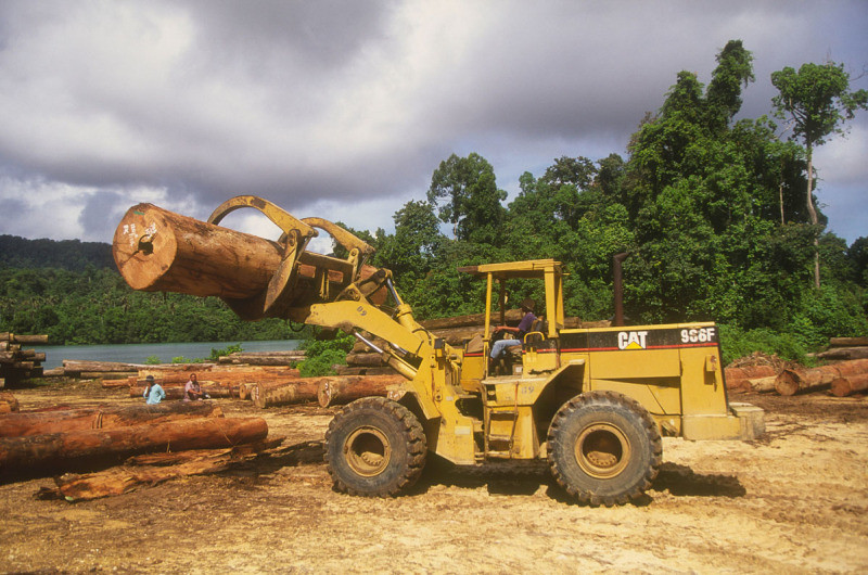 印尼東加里曼丹省三馬林達（Samarinda）的森林伐木活動。圖片來源：Edward Parker/WWF