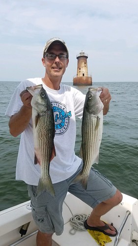 Photo of Man holding up two striped bass