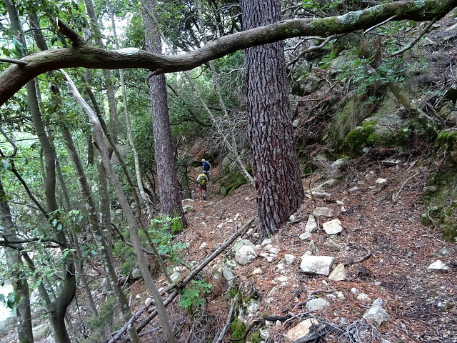 Dans la redescente du chemin du Carciara aval : entre la brèche et le ruisseau de Pinu Neru