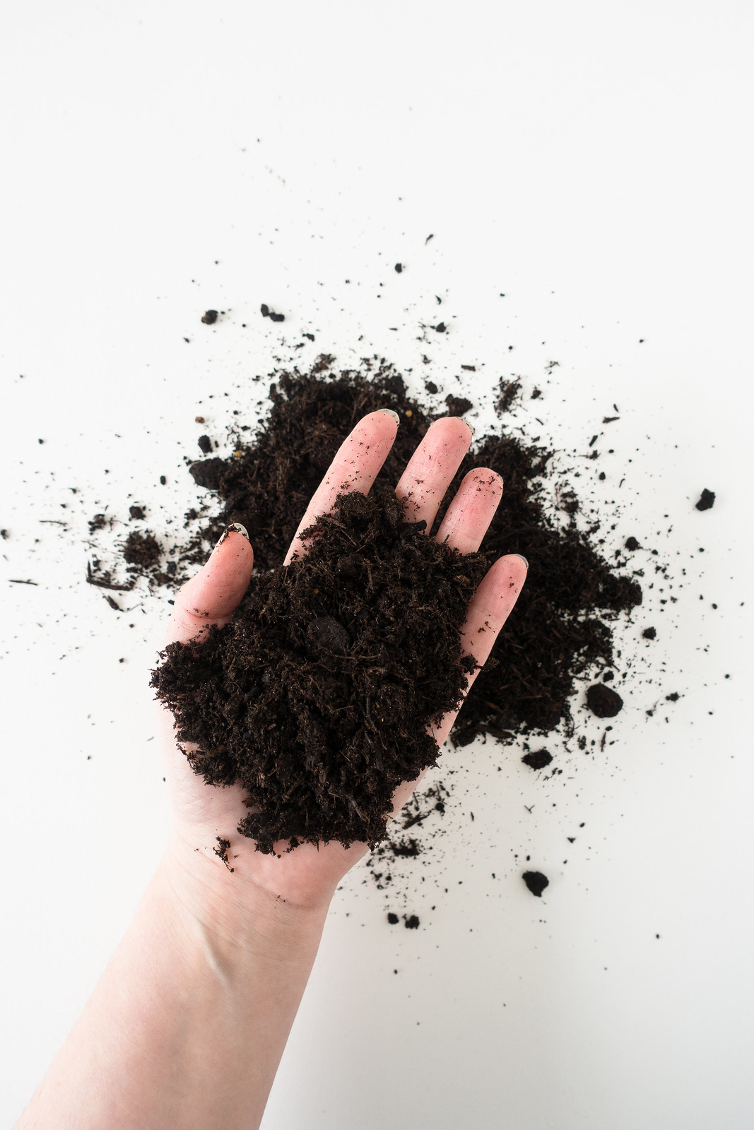 Composting In An Apartment