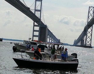 Photo of people fishing in boats under the Bay Bridge