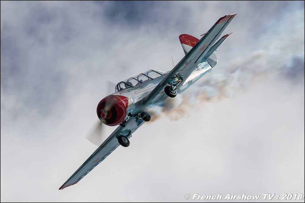  Yak-52 LY-HLZ Dittinger Flugtage 2018 Canon Sigma France contemporary lens Meeting Aerien 2018