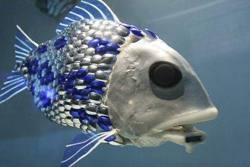 Robo fish