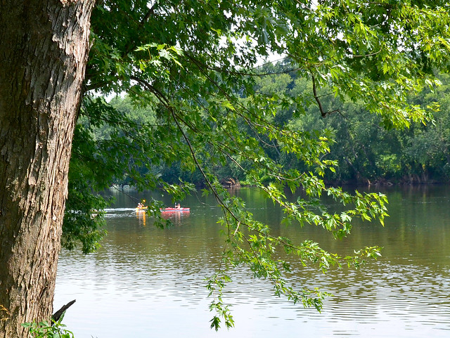 Enjoy a scenic hike or a relaxing paddle/float at James River State Park 