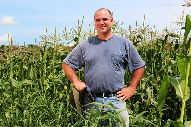 Jim Ward in his no-till sweet corn field