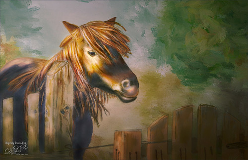 Digital Painting of a Miniature Horse