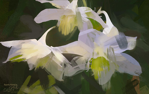 Abstract Painting of White Hawaiian Flowers 