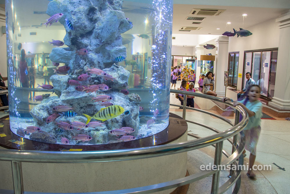 Таиланд Супханбури аквариум Бынг Чавак