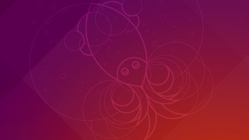ubuntu-18-10-wallpaper-cuttlefish