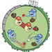 cartoon representation of the concept of double electronic transmutation showing a green circle with five heads in baseball caps playing baseball