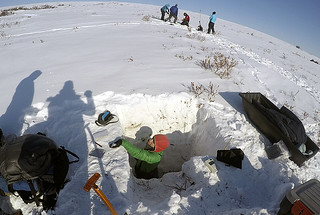 NGEE-Arctic researchers from Los Alamos, University of Alaska Fairbanks and Oak Ridge National Laboratory dig deep snow pits in tall shrub patches to understand the warming effect of snow-shrub interactions on underlying permafrost.