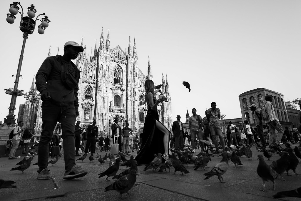 Birds | Piazza del Duomo, Milano pinholeLab | Daniele Sandri | Flickr