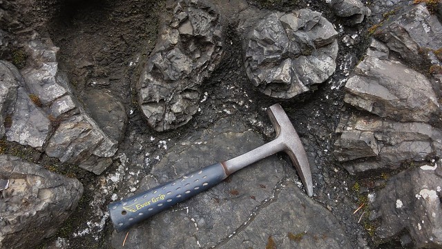 Pillow basalts on Marys Peak. Rock hammer for scale.