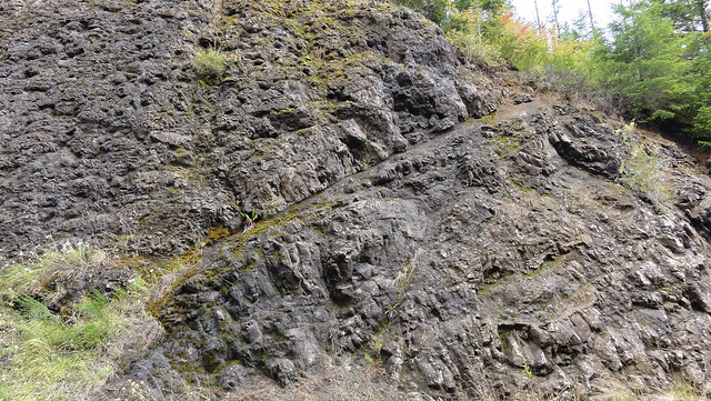 Faults cutting through basalt on Marys Peak.