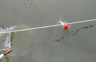 Photo of Trot line crabbing