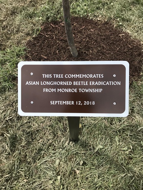 Sign placed next to commemorative tree