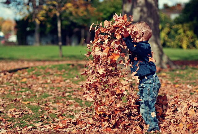 A boy playing in dry leaves