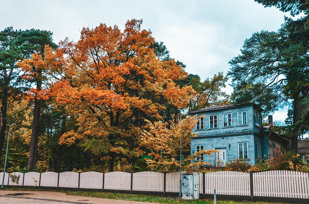 Осенняя Юрмала. Красивые дома и особняки! | https://countryofcheese.com/autumn-jurmala/