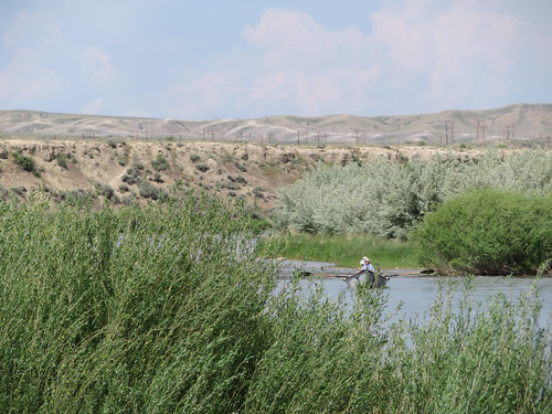 Golden Currant Campground