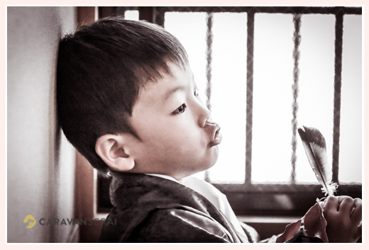 お茶屋・茶席(愛知県岡崎市)で七五三前撮りのロケーション撮影　5歳の男の子