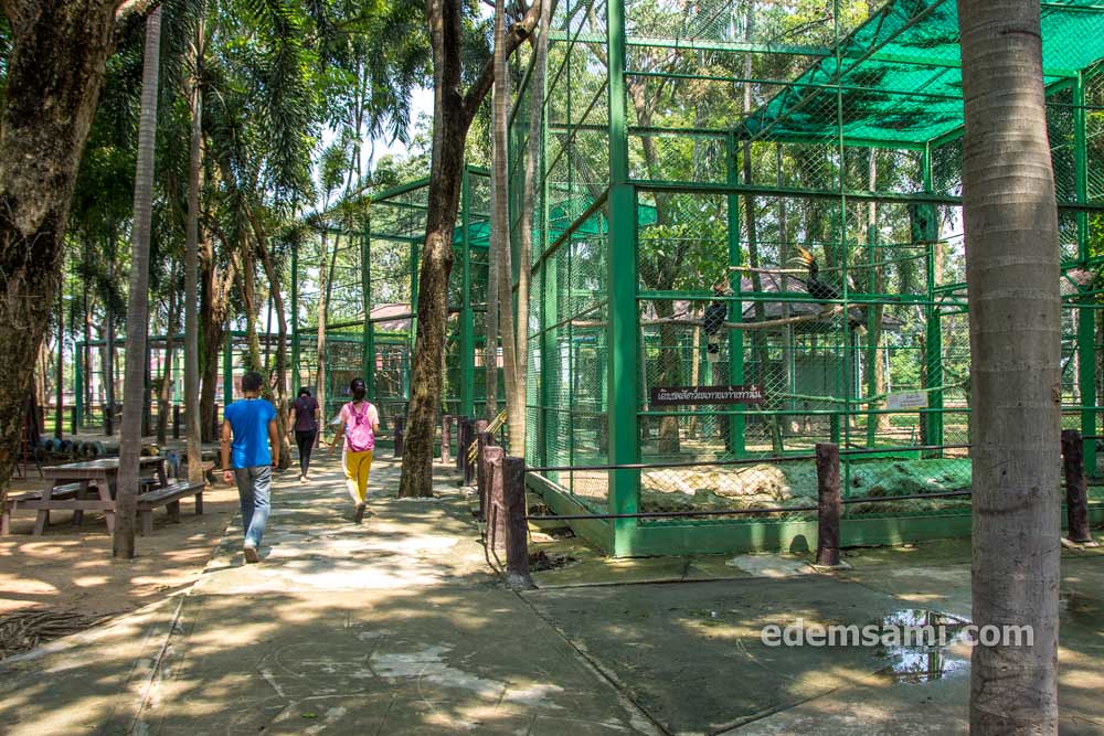 Таиланд Супханбури зоопарк Бынг Чавак