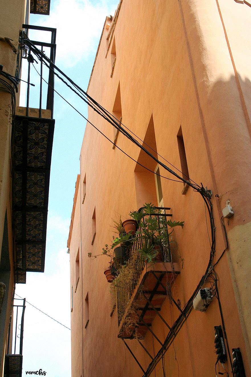 barrio del Carmen Valencia