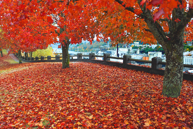 Oregon Autumn Part 4