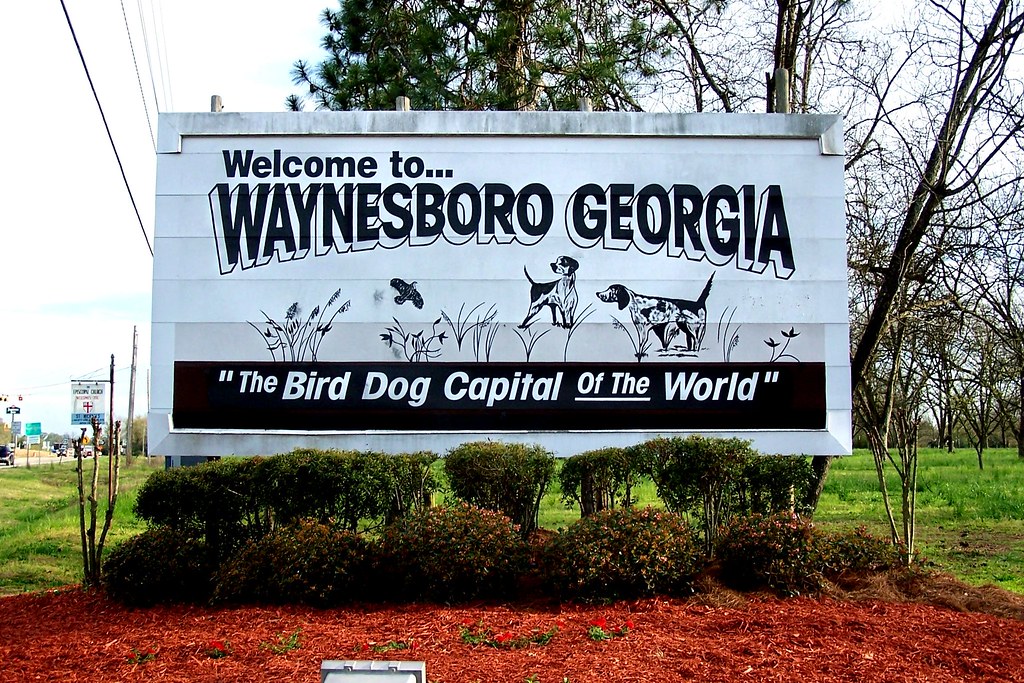 Bird Dog Capital of the World! | Waynesboro is a small town … | Flickr