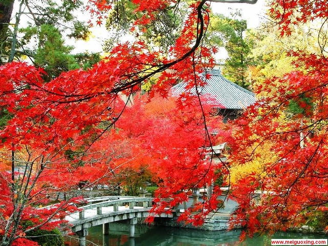 Fall foliage at fragrant hills park in beijing flickr for Foto autunno per desktop gratis